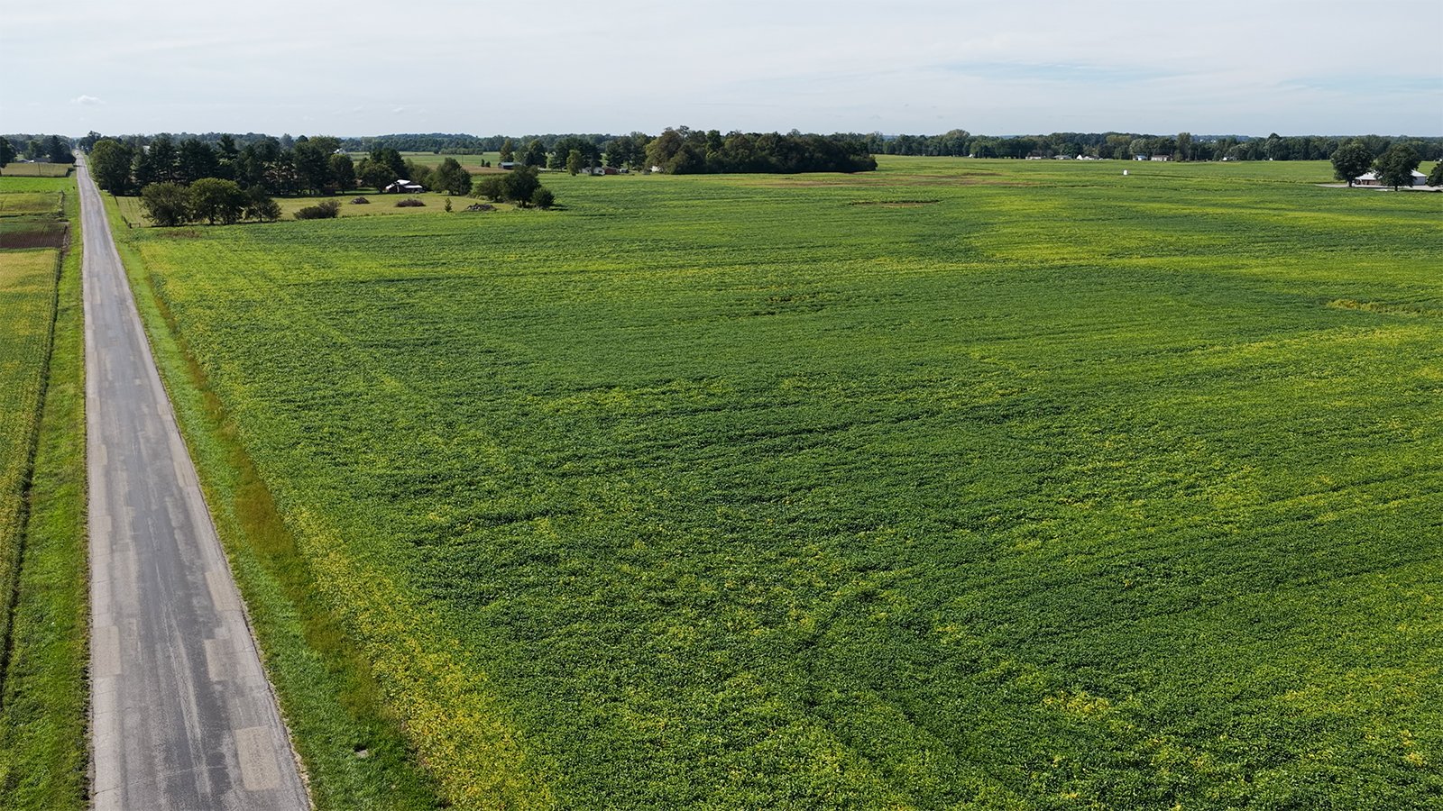 Property photo 14 - FARMLAND AUCTION - 296.5+/-ACRES OFFERED IN 8 TRACTS IN WAYNE COUNTY, INDIANA