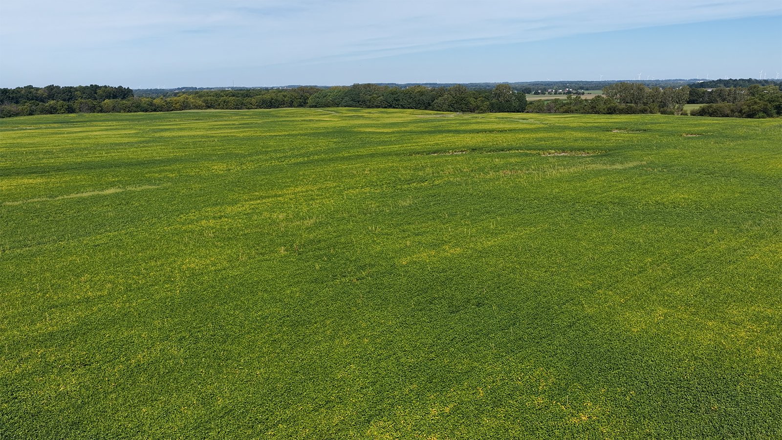 Property photo 16 - FARMLAND AUCTION - 296.5+/-ACRES OFFERED IN 8 TRACTS IN WAYNE COUNTY, INDIANA
