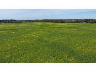 Property photo 13 - FARMLAND AUCTION - 296.5+/-ACRES OFFERED IN 8 TRACTS IN WAYNE COUNTY, INDIANA