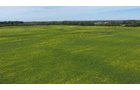 Property photo 16 - FARMLAND AUCTION - 296.5+/-ACRES OFFERED IN 8 TRACTS IN WAYNE COUNTY, INDIANA