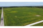 Property photo 13 - FARMLAND AUCTION - 296.5+/-ACRES OFFERED IN 8 TRACTS IN WAYNE COUNTY, INDIANA