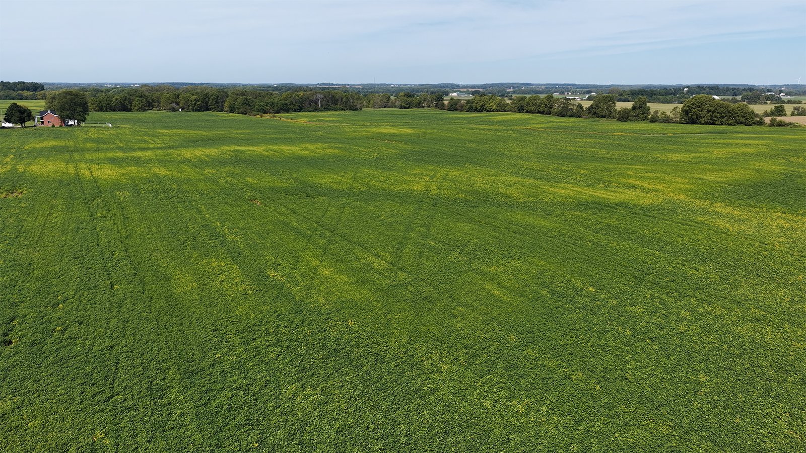 Property photo 18 - FARMLAND AUCTION - 296.5+/-ACRES OFFERED IN 8 TRACTS IN WAYNE COUNTY, INDIANA