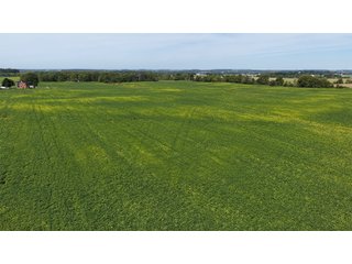 Property photo 17 - FARMLAND AUCTION - 296.5+/-ACRES OFFERED IN 8 TRACTS IN WAYNE COUNTY, INDIANA