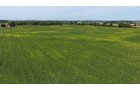 Property photo 18 - FARMLAND AUCTION - 296.5+/-ACRES OFFERED IN 8 TRACTS IN WAYNE COUNTY, INDIANA