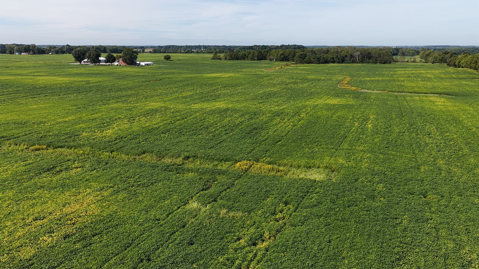Property photo 19 - FARMLAND AUCTION - 296.5+/-ACRES OFFERED IN 8 TRACTS IN WAYNE COUNTY, INDIANA