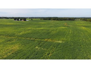 Property photo 18 - FARMLAND AUCTION - 296.5+/-ACRES OFFERED IN 8 TRACTS IN WAYNE COUNTY, INDIANA