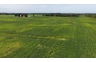 Property photo 19 - FARMLAND AUCTION - 296.5+/-ACRES OFFERED IN 8 TRACTS IN WAYNE COUNTY, INDIANA