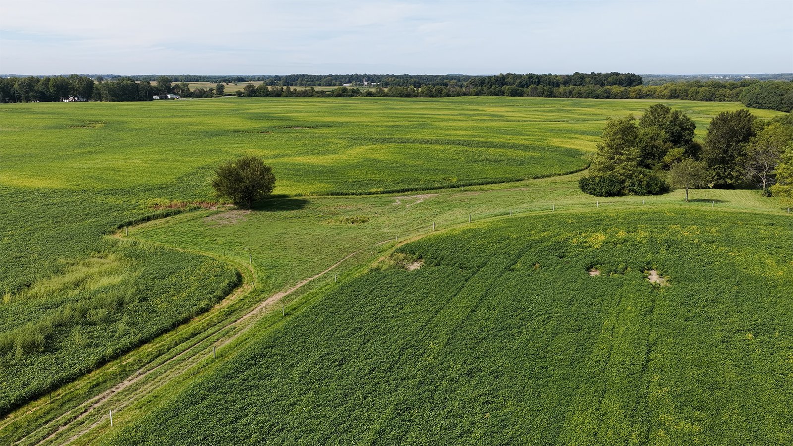 Property photo 20 - FARMLAND AUCTION - 296.5+/-ACRES OFFERED IN 8 TRACTS IN WAYNE COUNTY, INDIANA