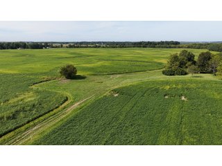 Property photo 19 - FARMLAND AUCTION - 296.5+/-ACRES OFFERED IN 8 TRACTS IN WAYNE COUNTY, INDIANA