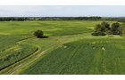 Property photo 20 - FARMLAND AUCTION - 296.5+/-ACRES OFFERED IN 8 TRACTS IN WAYNE COUNTY, INDIANA