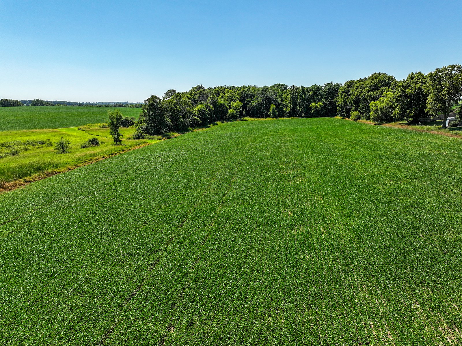 Property photo 4 - FOND DU LAC COUNTY TRANSITIONAL FARMLAND AUCTION - 120+/- ACRES OFFERED IN 3 TRACTS IN FOND DU LAC COUNTY, WISCONSIN