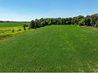 Property photo 4 - FOND DU LAC COUNTY TRANSITIONAL FARMLAND AUCTION - 120+/- ACRES OFFERED IN 3 TRACTS IN FOND DU LAC COUNTY, WISCONSIN