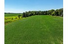 Property photo 4 - FOND DU LAC COUNTY TRANSITIONAL FARMLAND AUCTION - 120+/- ACRES OFFERED IN 3 TRACTS IN FOND DU LAC COUNTY, WISCONSIN