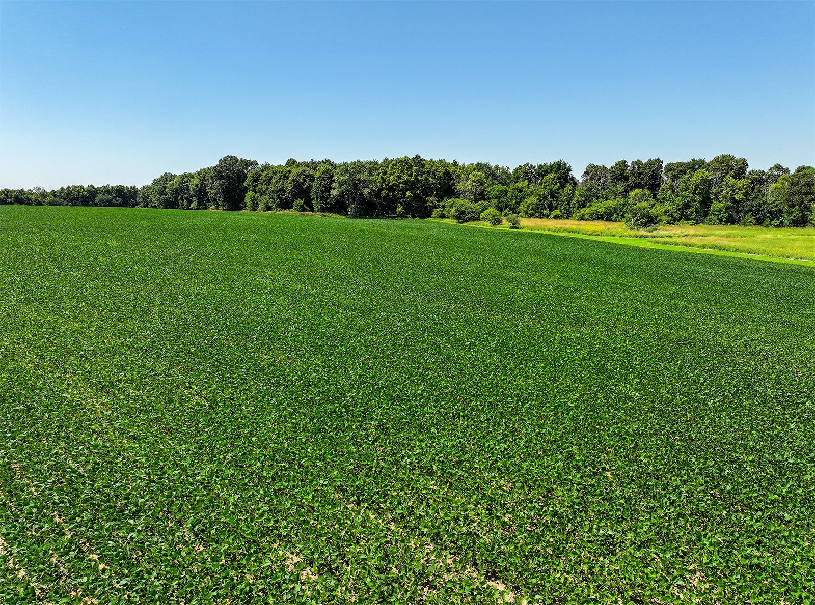 Property photo 5 - FOND DU LAC COUNTY TRANSITIONAL FARMLAND AUCTION - 120+/- ACRES OFFERED IN 3 TRACTS IN FOND DU LAC COUNTY, WISCONSIN