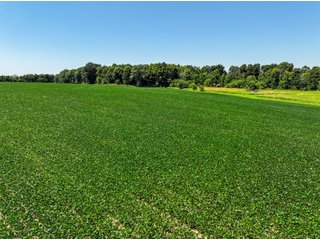 Property photo 5 - FOND DU LAC COUNTY TRANSITIONAL FARMLAND AUCTION - 120+/- ACRES OFFERED IN 3 TRACTS IN FOND DU LAC COUNTY, WISCONSIN