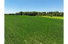 Property photo 5 - FOND DU LAC COUNTY TRANSITIONAL FARMLAND AUCTION - 120+/- ACRES OFFERED IN 3 TRACTS IN FOND DU LAC COUNTY, WISCONSIN