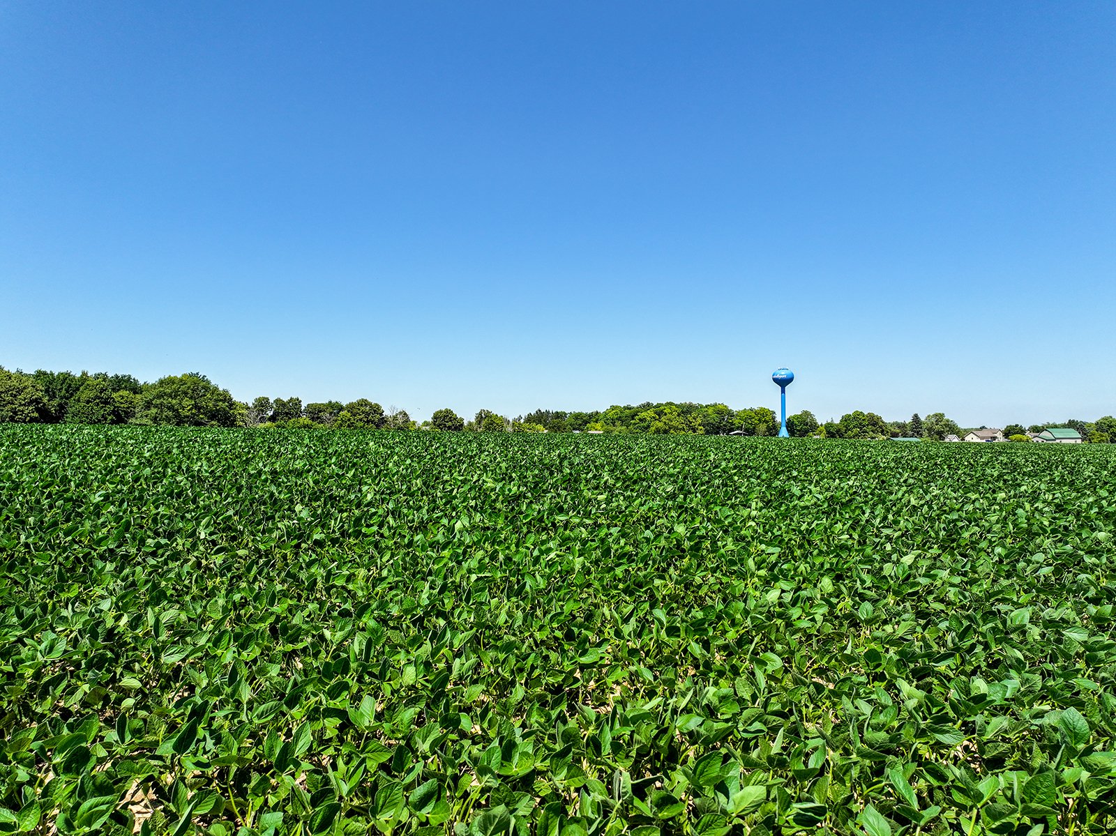 Property photo 6 - FOND DU LAC COUNTY TRANSITIONAL FARMLAND AUCTION - 120+/- ACRES OFFERED IN 3 TRACTS IN FOND DU LAC COUNTY, WISCONSIN
