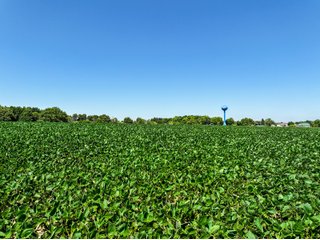 Property photo 6 - FOND DU LAC COUNTY TRANSITIONAL FARMLAND AUCTION - 120+/- ACRES OFFERED IN 3 TRACTS IN FOND DU LAC COUNTY, WISCONSIN