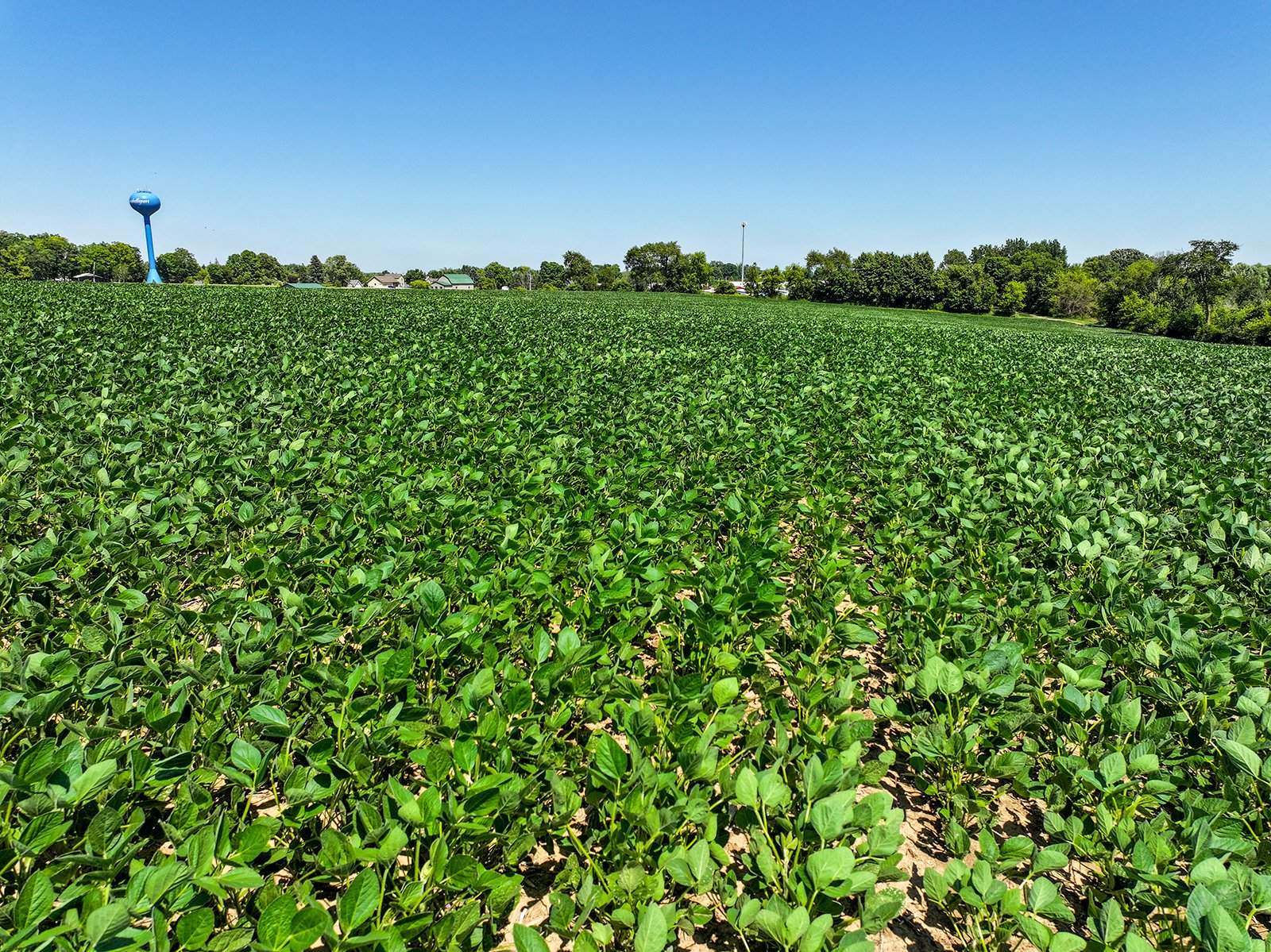 Property photo 7 - FOND DU LAC COUNTY TRANSITIONAL FARMLAND AUCTION - 120+/- ACRES OFFERED IN 3 TRACTS IN FOND DU LAC COUNTY, WISCONSIN
