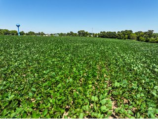 Property photo 7 - FOND DU LAC COUNTY TRANSITIONAL FARMLAND AUCTION - 120+/- ACRES OFFERED IN 3 TRACTS IN FOND DU LAC COUNTY, WISCONSIN