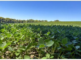 Property photo 9 - FOND DU LAC COUNTY TRANSITIONAL FARMLAND AUCTION - 120+/- ACRES OFFERED IN 3 TRACTS IN FOND DU LAC COUNTY, WISCONSIN