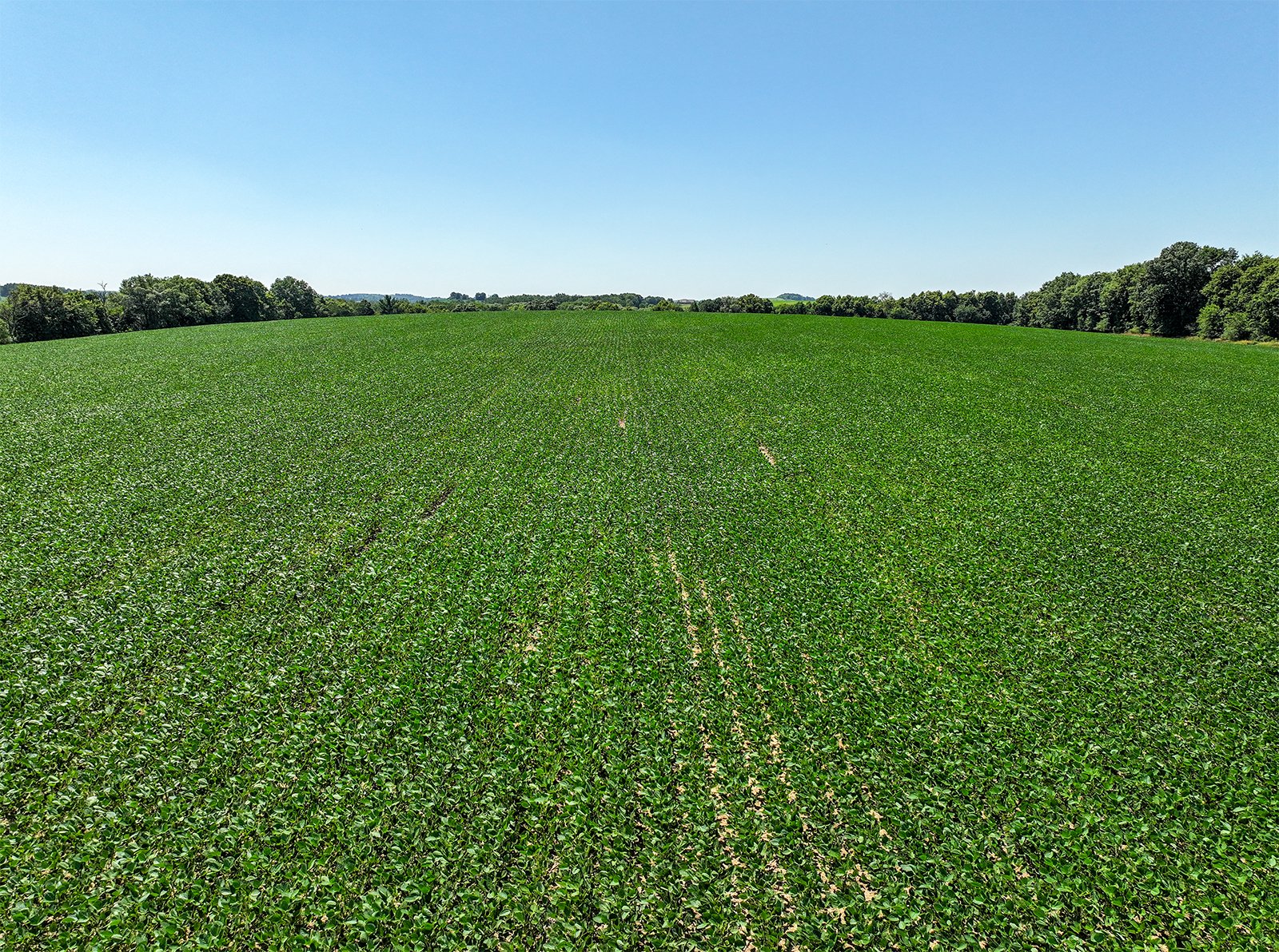 Property photo 1 - FOND DU LAC COUNTY TRANSITIONAL FARMLAND AUCTION - 120+/- ACRES OFFERED IN 3 TRACTS IN FOND DU LAC COUNTY, WISCONSIN