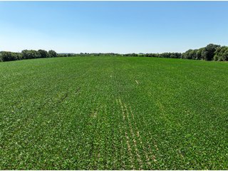 Property photo 1 - FOND DU LAC COUNTY TRANSITIONAL FARMLAND AUCTION - 120+/- ACRES OFFERED IN 3 TRACTS IN FOND DU LAC COUNTY, WISCONSIN