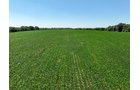 Property photo 1 - FOND DU LAC COUNTY TRANSITIONAL FARMLAND AUCTION - 120+/- ACRES OFFERED IN 3 TRACTS IN FOND DU LAC COUNTY, WISCONSIN