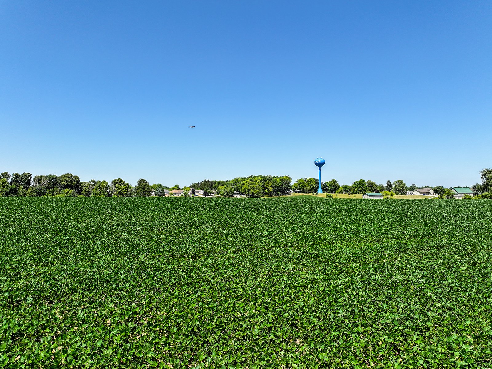 Property photo 2 - FOND DU LAC COUNTY TRANSITIONAL FARMLAND AUCTION - 120+/- ACRES OFFERED IN 3 TRACTS IN FOND DU LAC COUNTY, WISCONSIN