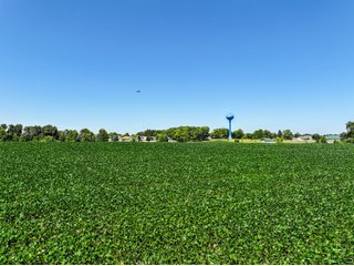Property photo 2 - FOND DU LAC COUNTY TRANSITIONAL FARMLAND AUCTION - 120+/- ACRES OFFERED IN 3 TRACTS IN FOND DU LAC COUNTY, WISCONSIN