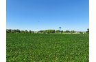 Property photo 2 - FOND DU LAC COUNTY TRANSITIONAL FARMLAND AUCTION - 120+/- ACRES OFFERED IN 3 TRACTS IN FOND DU LAC COUNTY, WISCONSIN