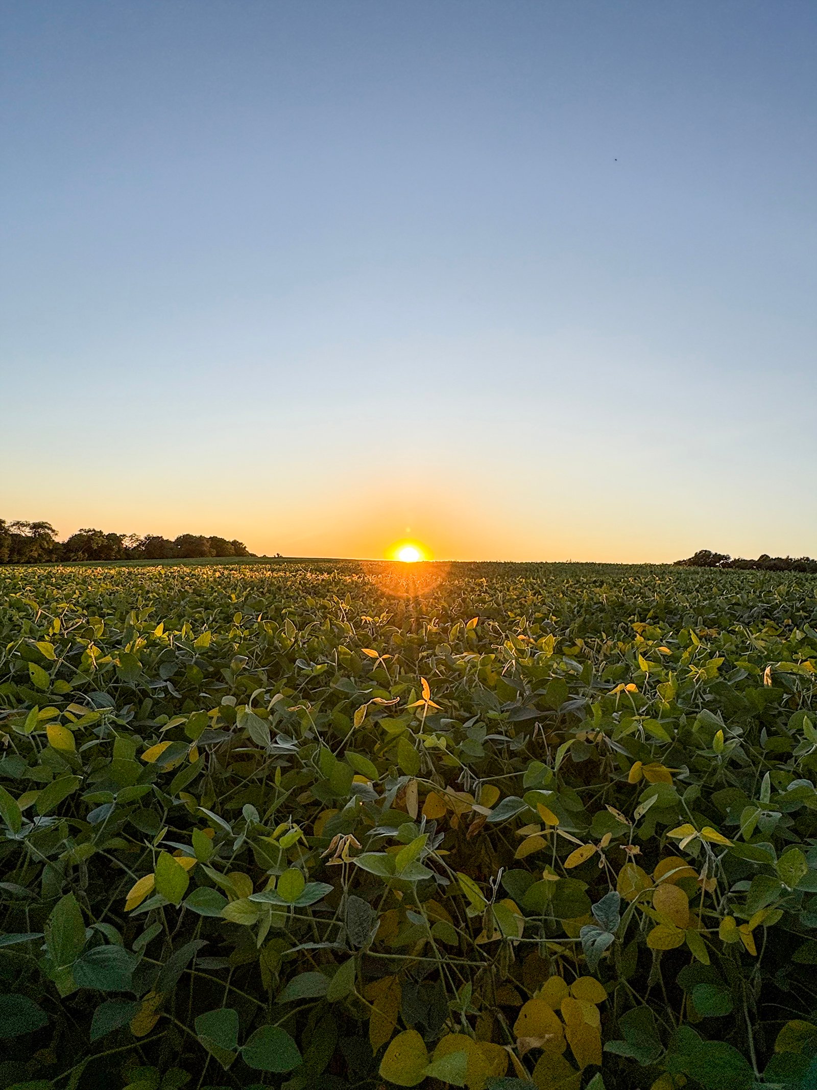 Property photo 26 - FOND DU LAC COUNTY TRANSITIONAL FARMLAND AUCTION - 120+/- ACRES OFFERED IN 3 TRACTS IN FOND DU LAC COUNTY, WISCONSIN