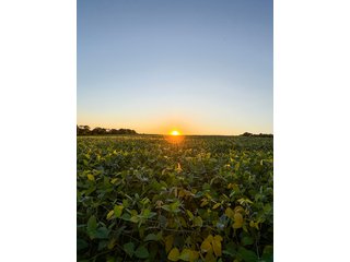 Property photo 26 - FOND DU LAC COUNTY TRANSITIONAL FARMLAND AUCTION - 120+/- ACRES OFFERED IN 3 TRACTS IN FOND DU LAC COUNTY, WISCONSIN