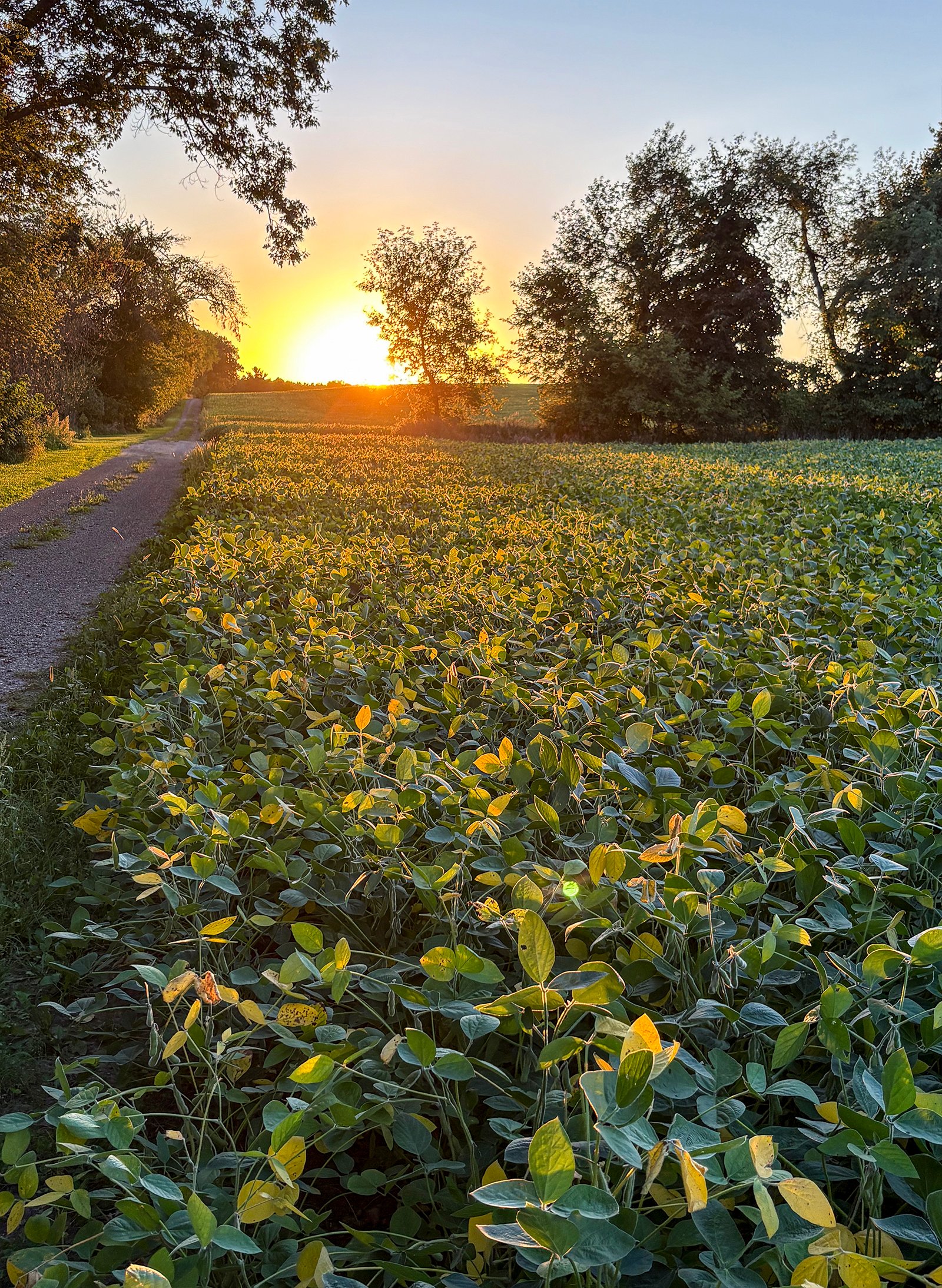 Property photo 25 - FOND DU LAC COUNTY TRANSITIONAL FARMLAND AUCTION - 120+/- ACRES OFFERED IN 3 TRACTS IN FOND DU LAC COUNTY, WISCONSIN