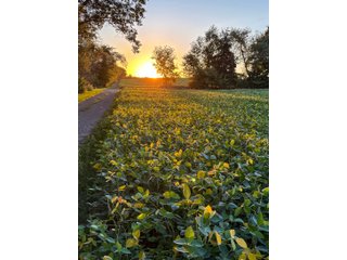 Property photo 25 - FOND DU LAC COUNTY TRANSITIONAL FARMLAND AUCTION - 120+/- ACRES OFFERED IN 3 TRACTS IN FOND DU LAC COUNTY, WISCONSIN