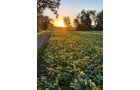 Property photo 25 - FOND DU LAC COUNTY TRANSITIONAL FARMLAND AUCTION - 120+/- ACRES OFFERED IN 3 TRACTS IN FOND DU LAC COUNTY, WISCONSIN