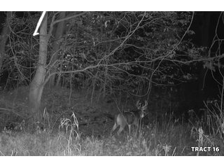 Property photo 70 - LAND AUCTION - 401+/-ACRES OFFERED IN 17 TRACTS IN NOBLE COUNTY, INDIANA