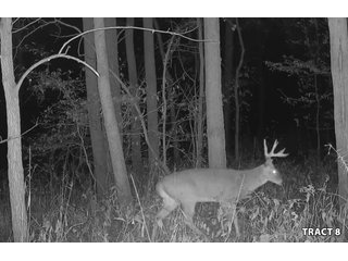 Property photo 71 - LAND AUCTION - 401+/-ACRES OFFERED IN 17 TRACTS IN NOBLE COUNTY, INDIANA