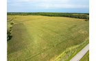 Property photo 54 - LAND AUCTION - 401+/-ACRES OFFERED IN 16 TRACTS IN NOBLE COUNTY, INDIANA