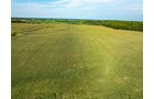 Property photo 53 - LAND AUCTION - 401+/-ACRES OFFERED IN 16 TRACTS IN NOBLE COUNTY, INDIANA