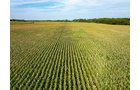 Property photo 1 - LAND AUCTION - 401+/-ACRES OFFERED IN 16 TRACTS IN NOBLE COUNTY, INDIANA