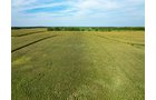 Property photo 49 - LAND AUCTION - 401+/-ACRES OFFERED IN 16 TRACTS IN NOBLE COUNTY, INDIANA