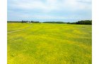 Property photo 47 - LAND AUCTION - 401+/-ACRES OFFERED IN 16 TRACTS IN NOBLE COUNTY, INDIANA