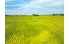 Property photo 46 - LAND AUCTION - 401+/-ACRES OFFERED IN 16 TRACTS IN NOBLE COUNTY, INDIANA