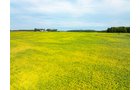 Property photo 45 - LAND AUCTION - 401+/-ACRES OFFERED IN 16 TRACTS IN NOBLE COUNTY, INDIANA