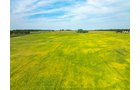 Property photo 44 - LAND AUCTION - 401+/-ACRES OFFERED IN 16 TRACTS IN NOBLE COUNTY, INDIANA