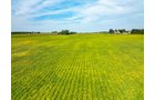 Property photo 42 - LAND AUCTION - 401+/-ACRES OFFERED IN 16 TRACTS IN NOBLE COUNTY, INDIANA