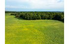 Property photo 72 - LAND AUCTION - 401+/-ACRES OFFERED IN 16 TRACTS IN NOBLE COUNTY, INDIANA