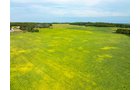 Property photo 71 - LAND AUCTION - 401+/-ACRES OFFERED IN 16 TRACTS IN NOBLE COUNTY, INDIANA