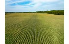 Property photo 68 - LAND AUCTION - 401+/-ACRES OFFERED IN 16 TRACTS IN NOBLE COUNTY, INDIANA